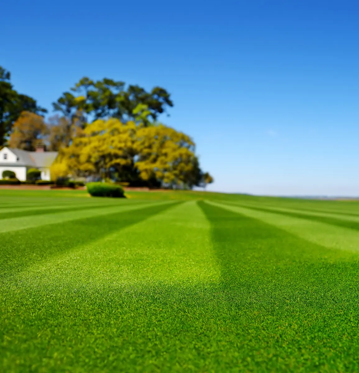 Acreage Mowing Services