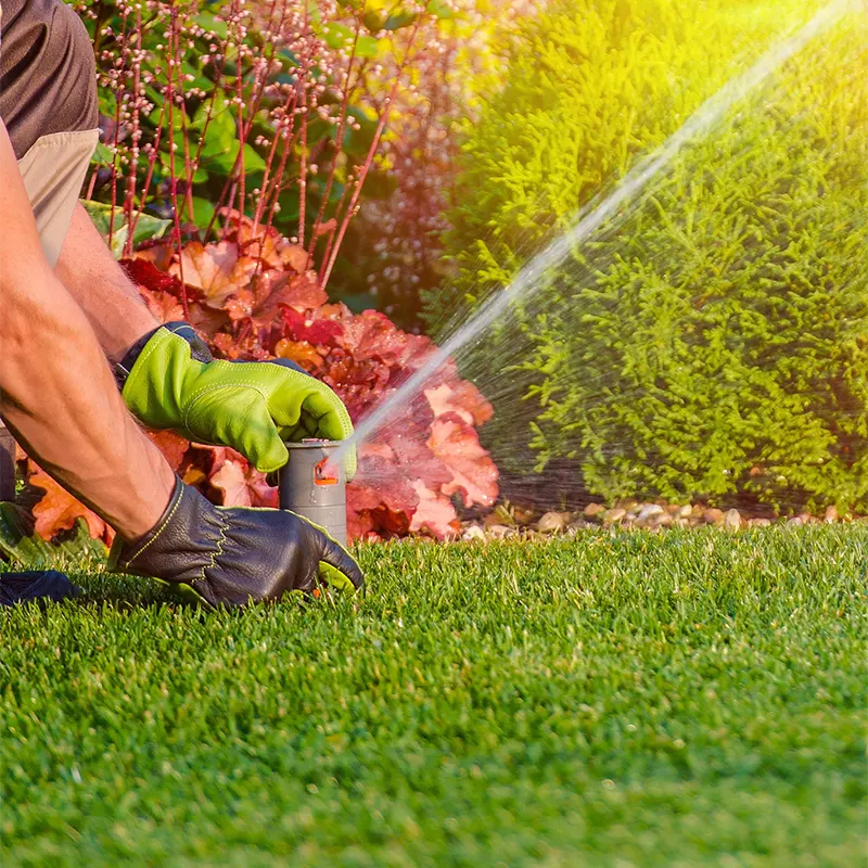 Aged Care Gardening Services