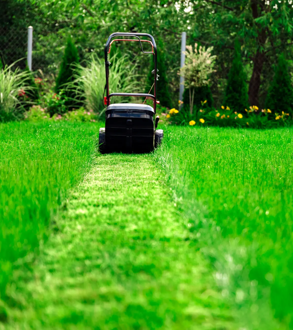 Commercial Mowing Services