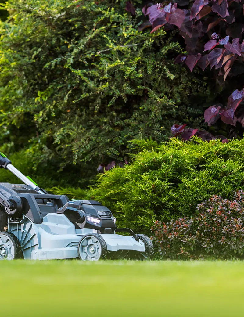 Our Comprehensive Commercial Gardening Services