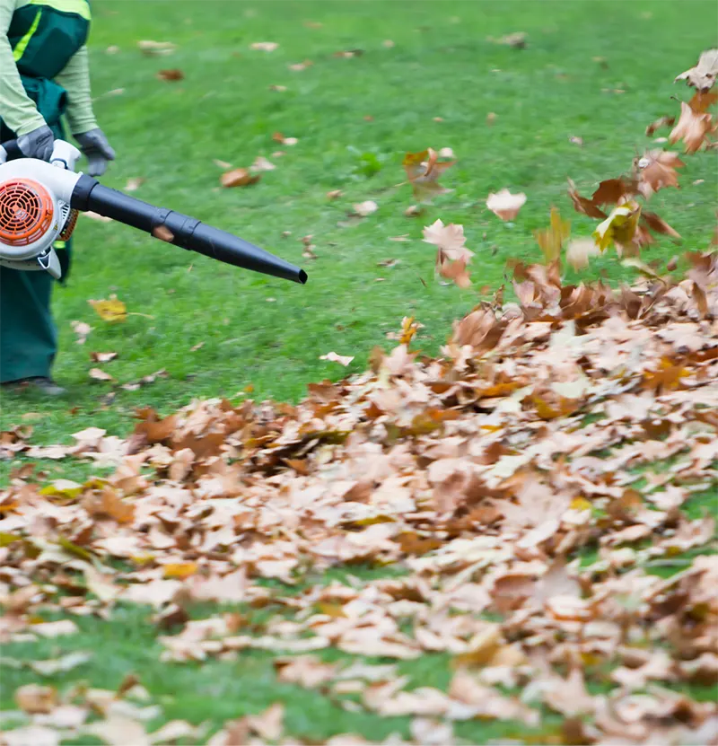 Garden Cleanup Services