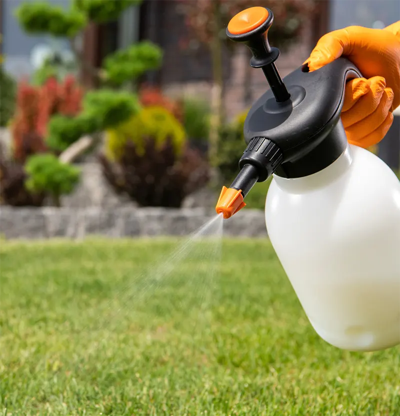 Lawn Pest Control Services