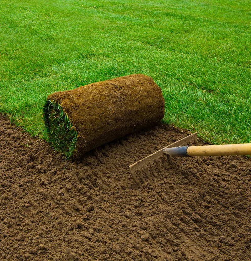 Lawn Renovation Services