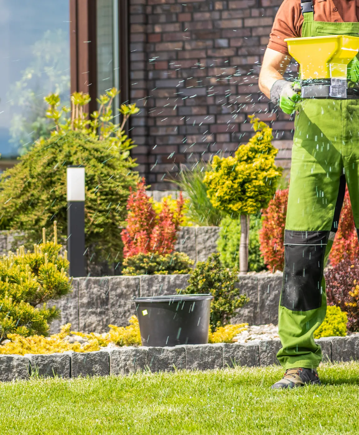 Lawn Treatment Services