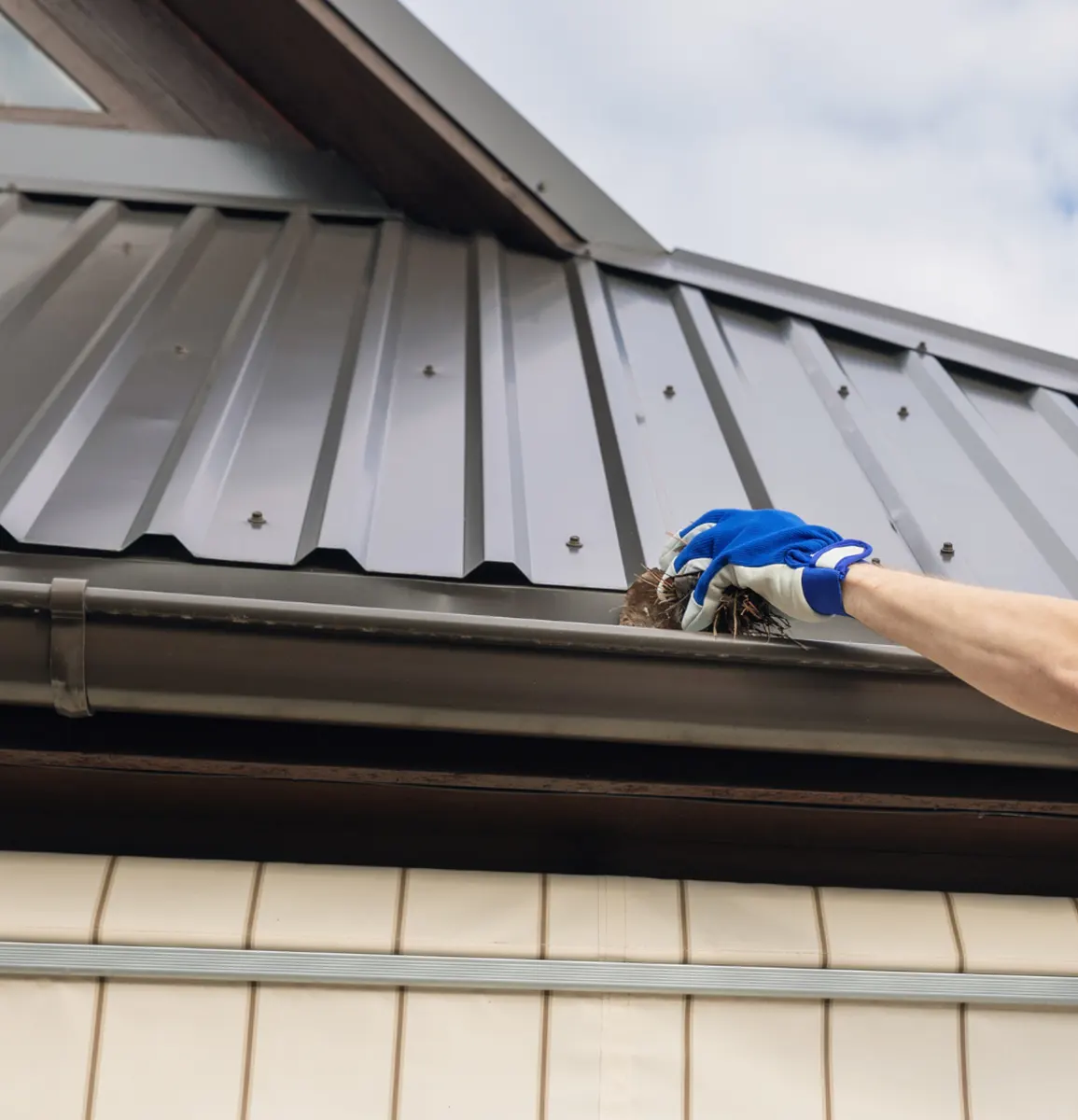 Gutter Cleaning Services